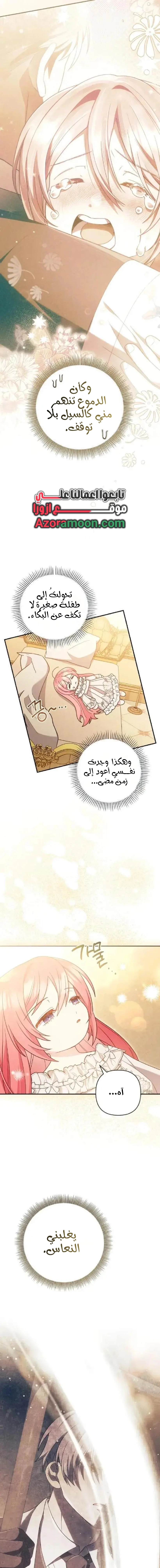 الصفحة 13