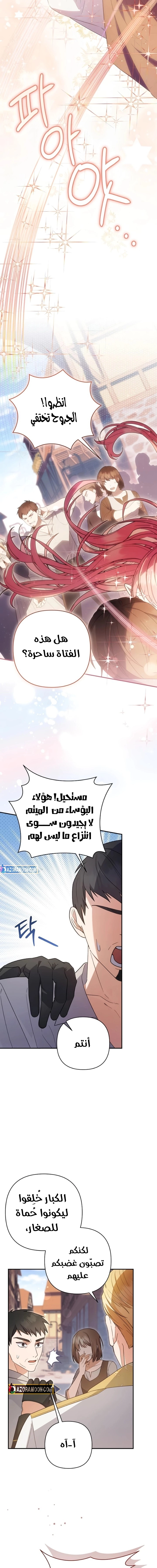 الصفحة 14