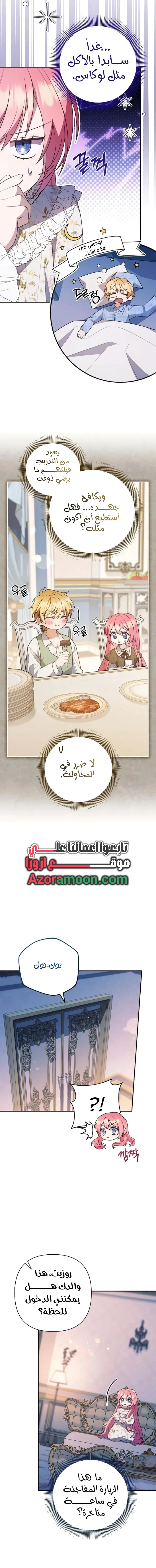 الصفحة 13