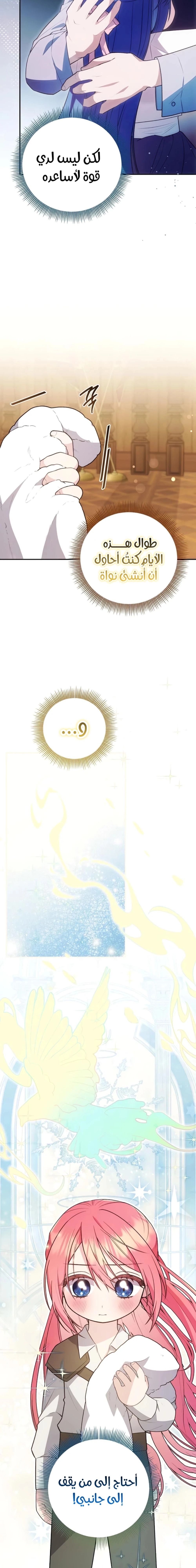 الصفحة 26