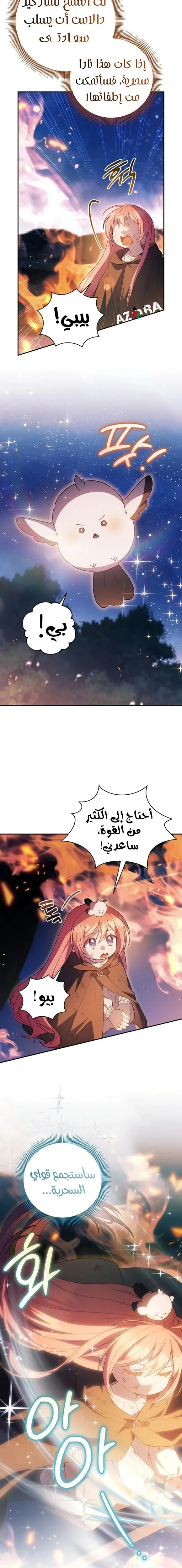 الصفحة 19