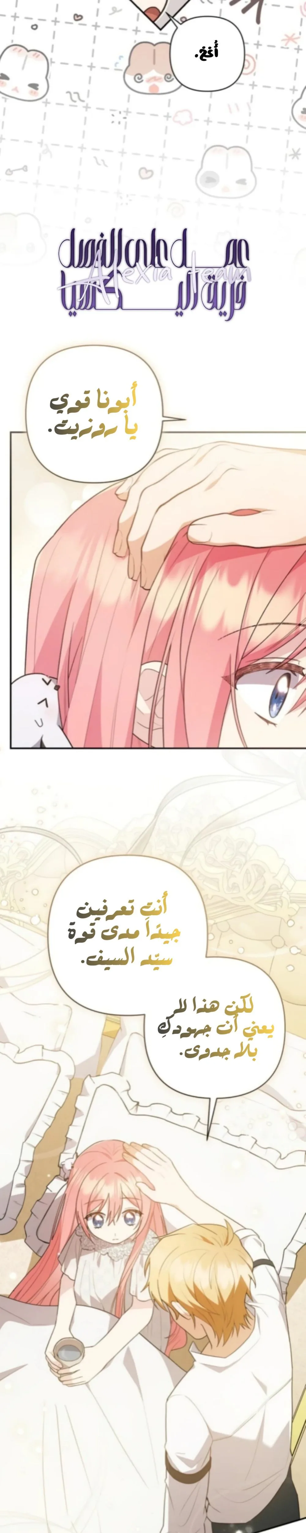 الصفحة 13