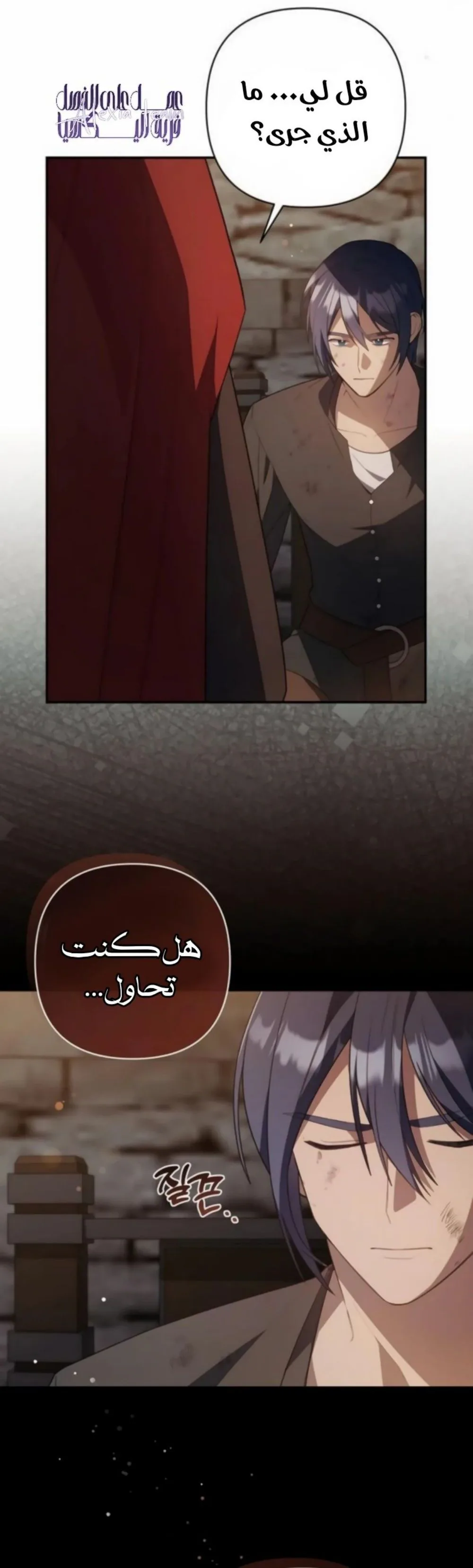 الصفحة 12