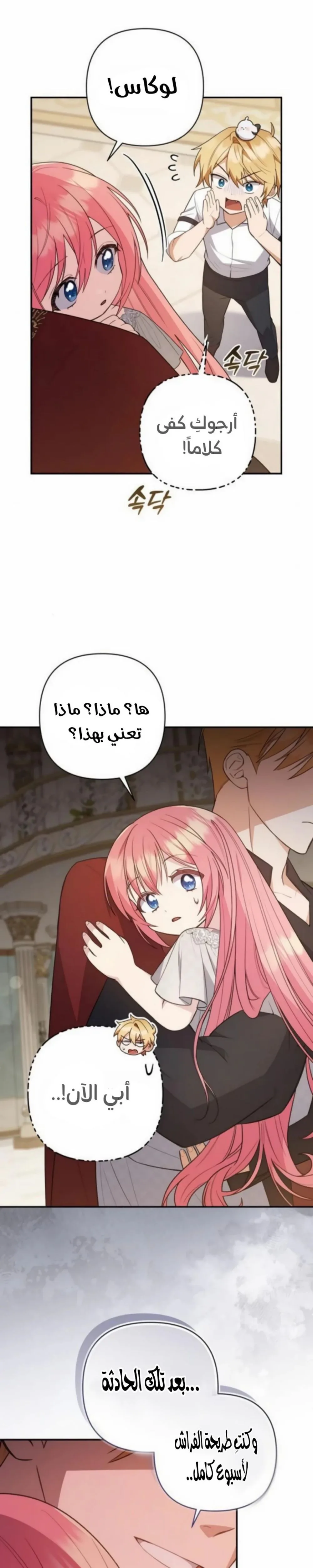 الصفحة 29