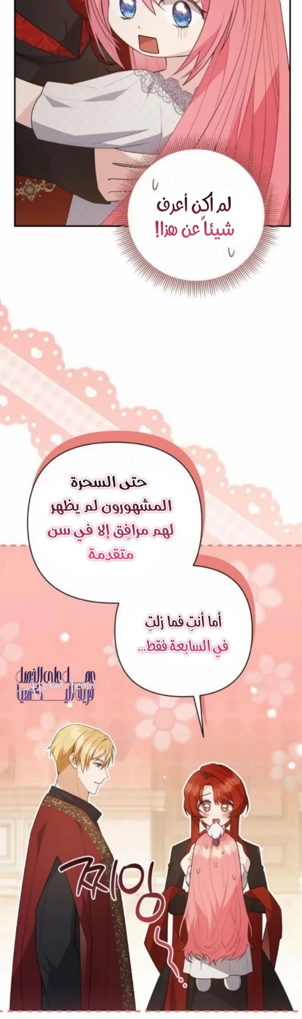 الصفحة 17