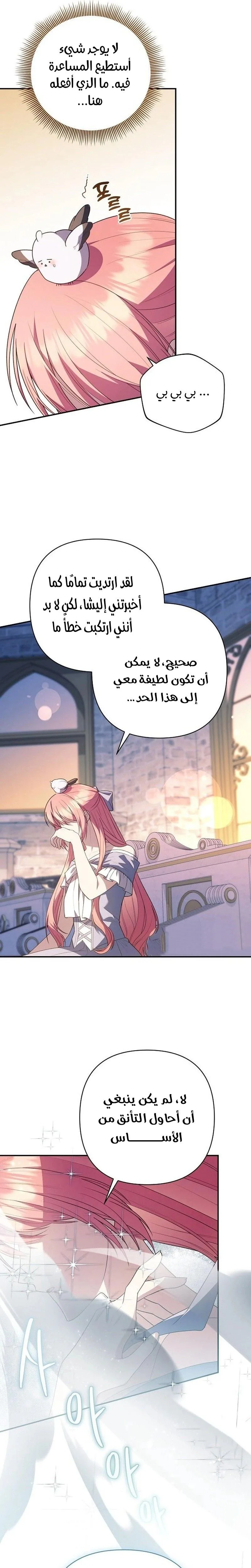 الصفحة 13