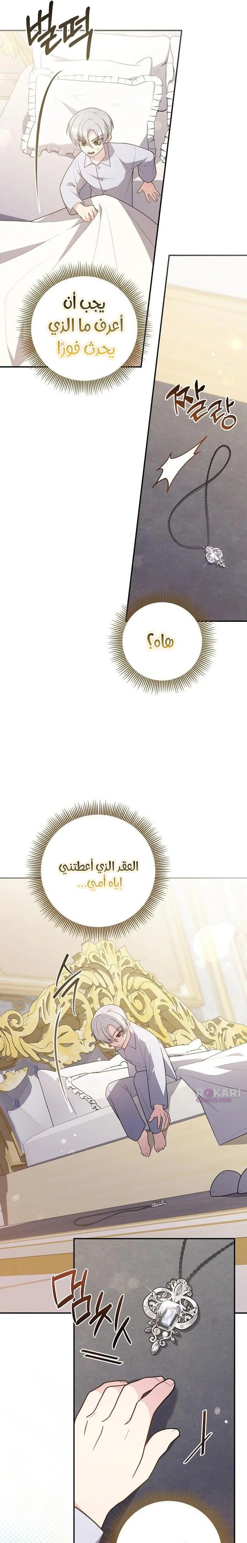 الصفحة 11