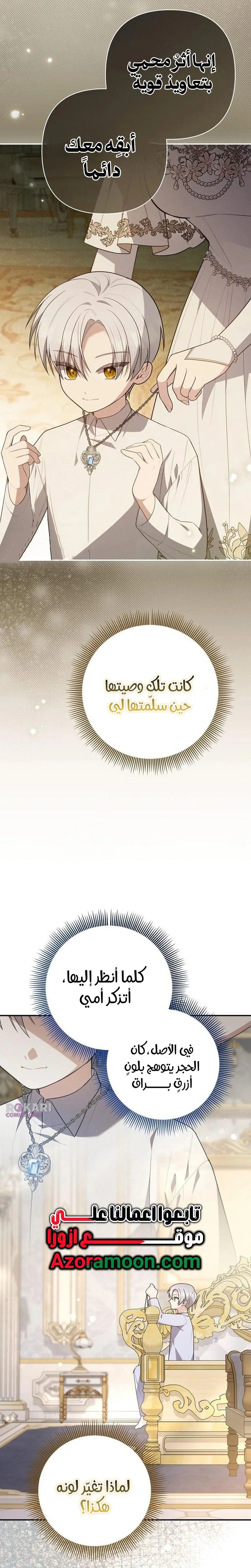 الصفحة 13
