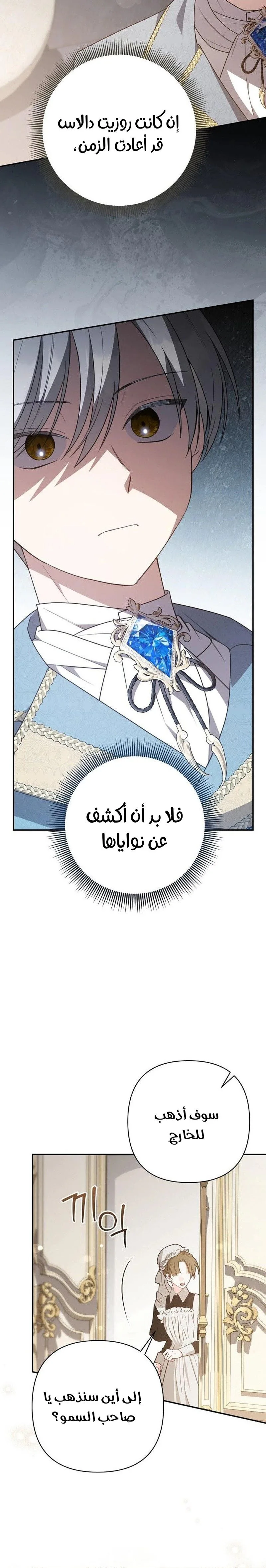 الصفحة 26