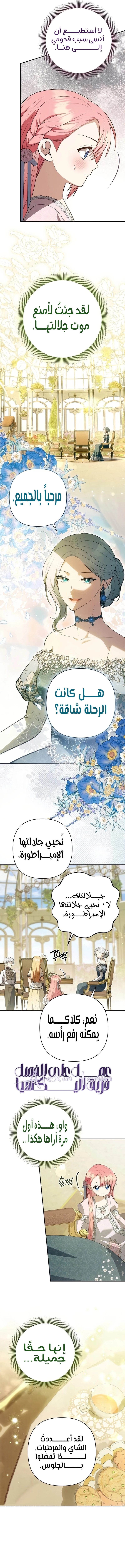 الصفحة 8