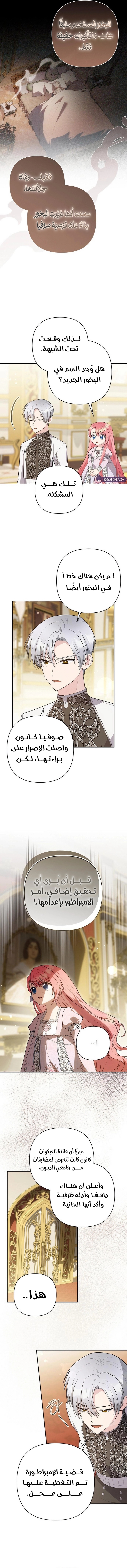 الصفحة 3