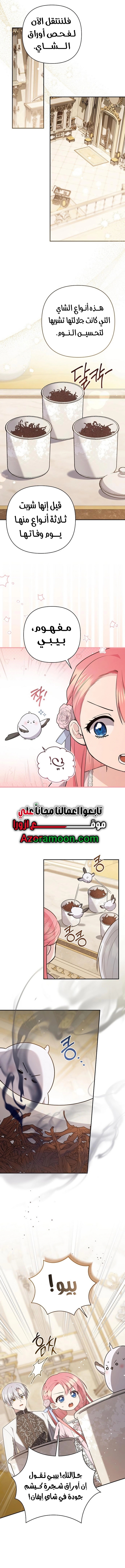الصفحة 8