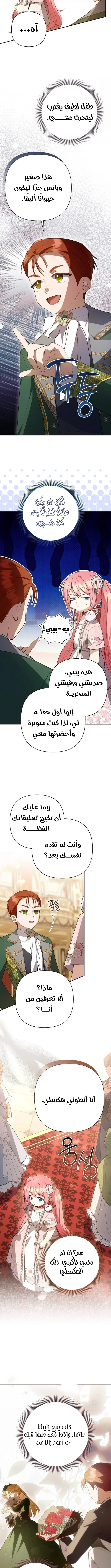 الصفحة 5