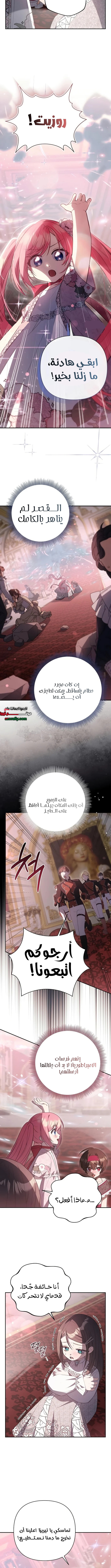 الصفحة 2