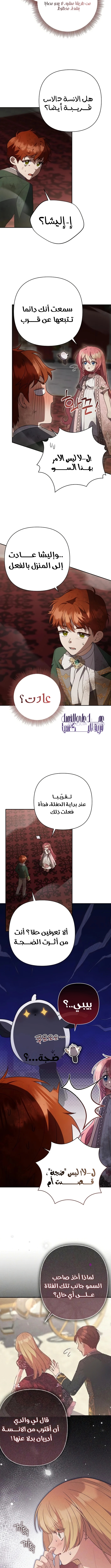 الصفحة 8