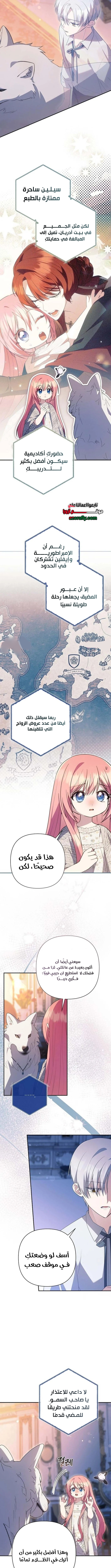 الصفحة 2