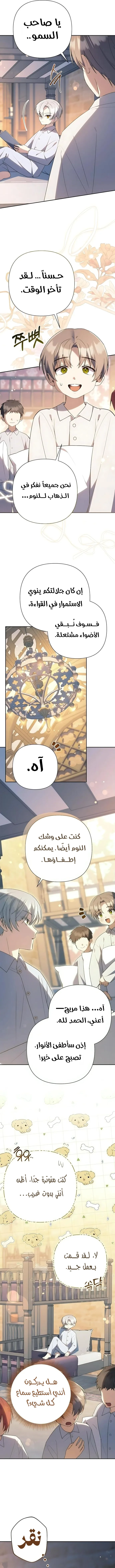 الصفحة 5
