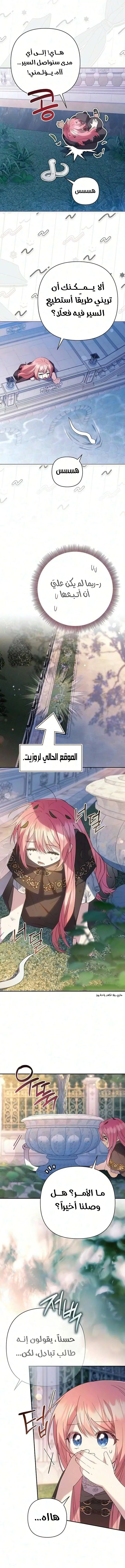 الصفحة 5