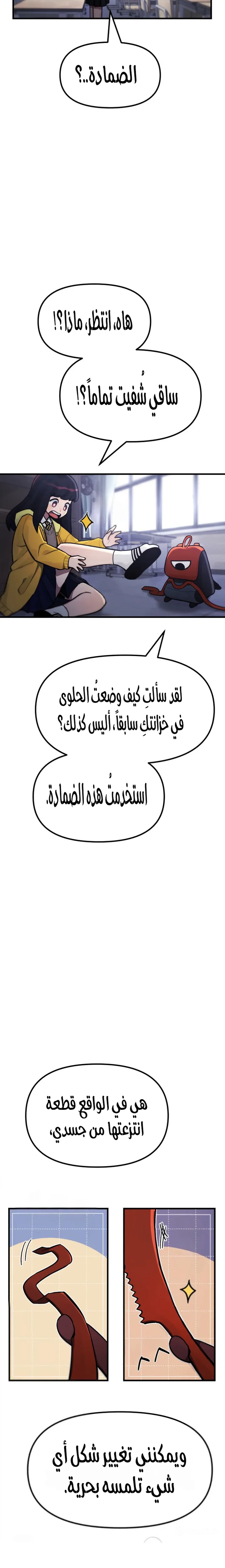 الصفحة 13