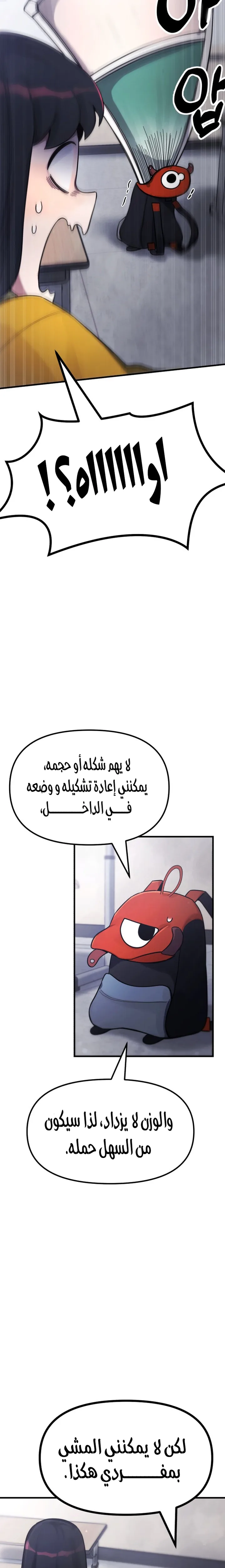 الصفحة 19