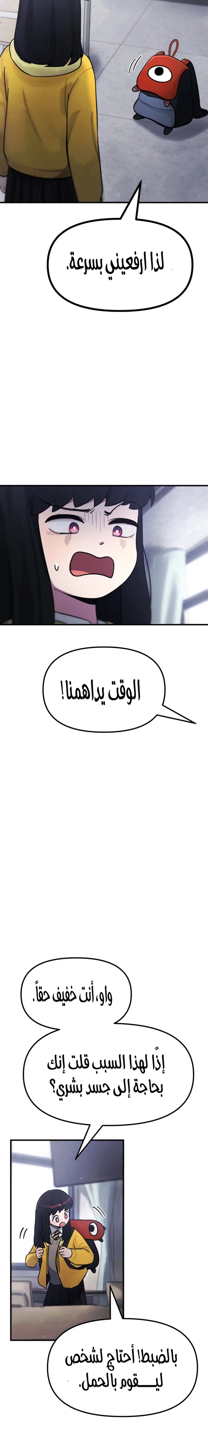 الصفحة 20