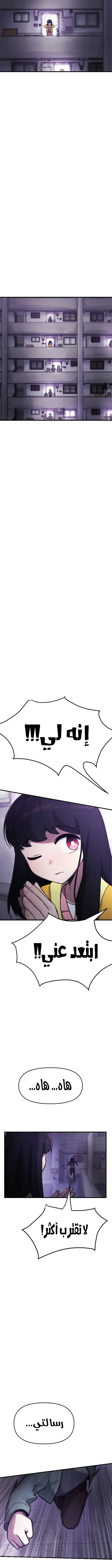 الصفحة 13