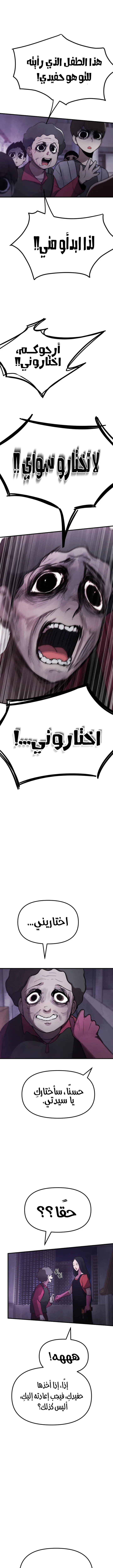 الصفحة 17