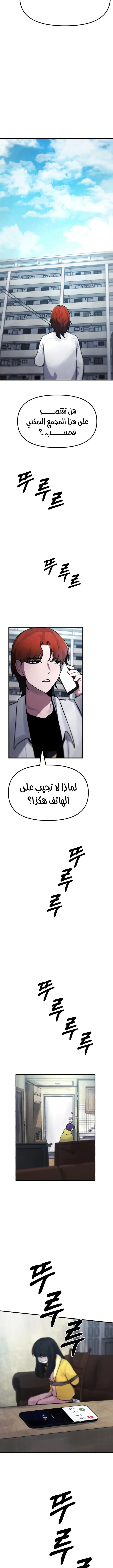 الصفحة 13