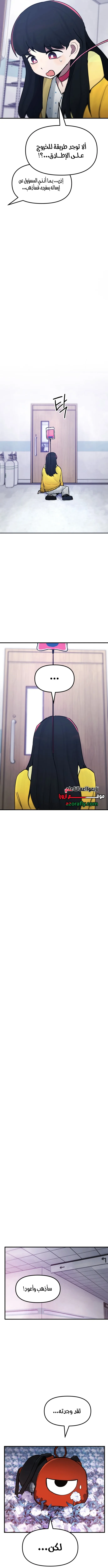 الصفحة 17