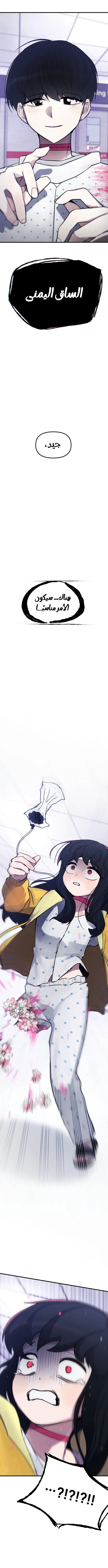 الصفحة 13