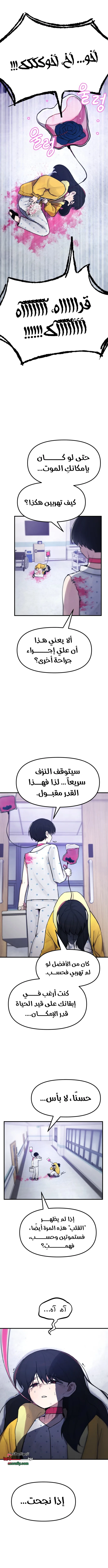 الصفحة 14