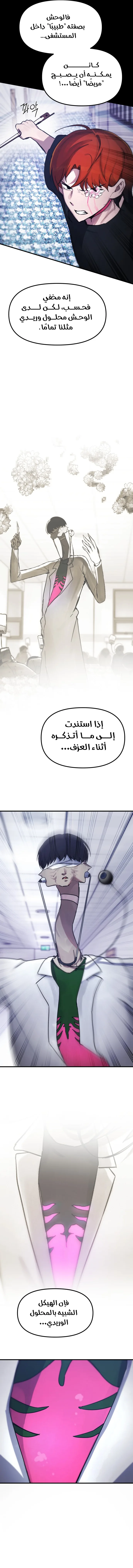 الصفحة 17