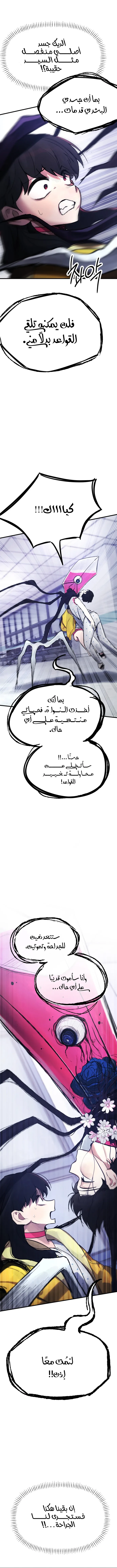 الصفحة 14