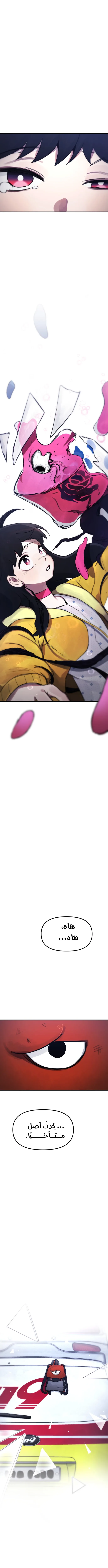 الصفحة 19