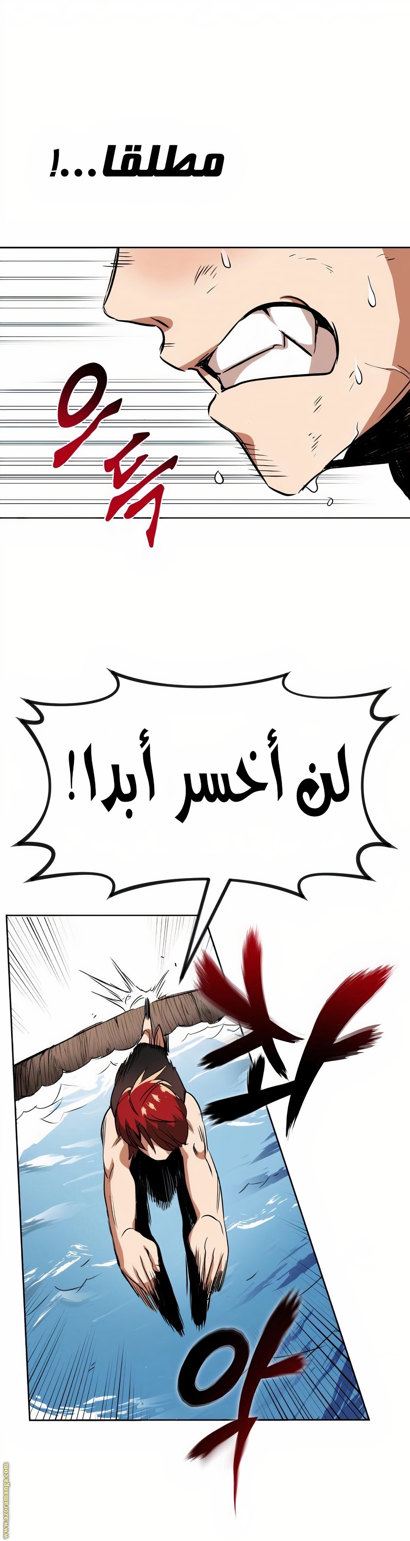 الصفحة 31