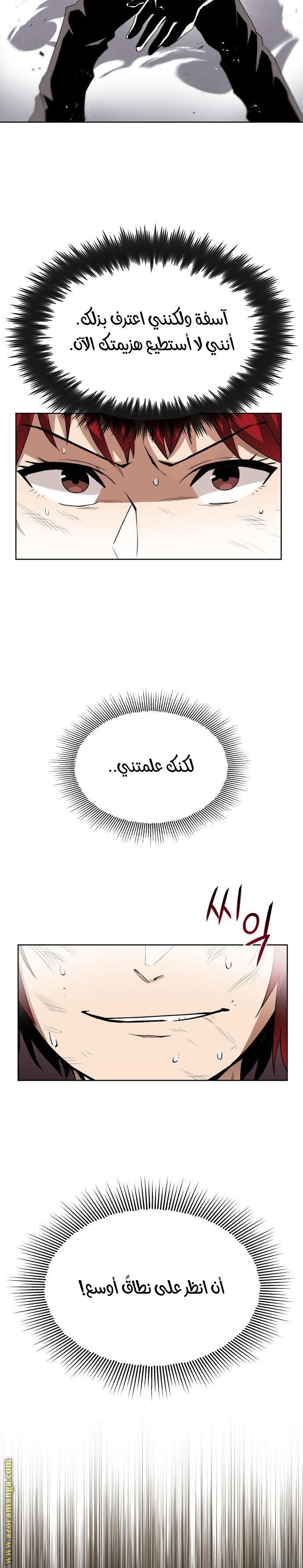 الصفحة 14