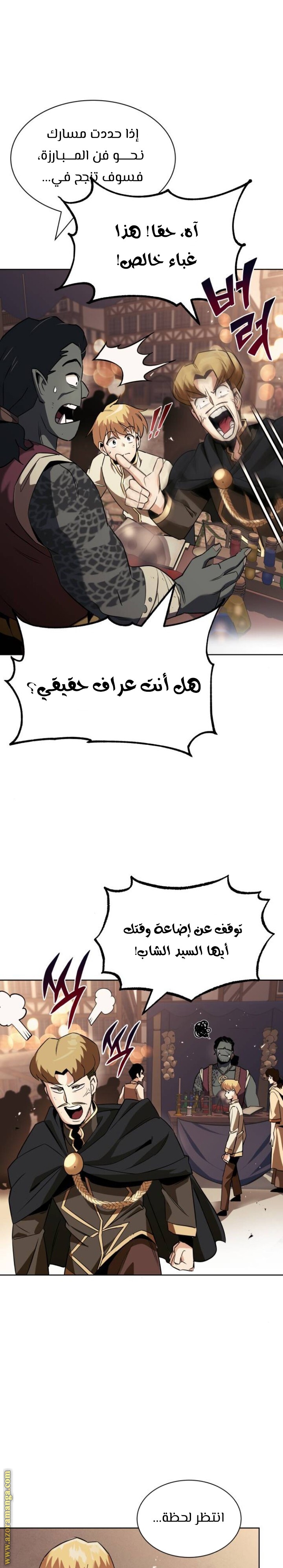 الصفحة 13