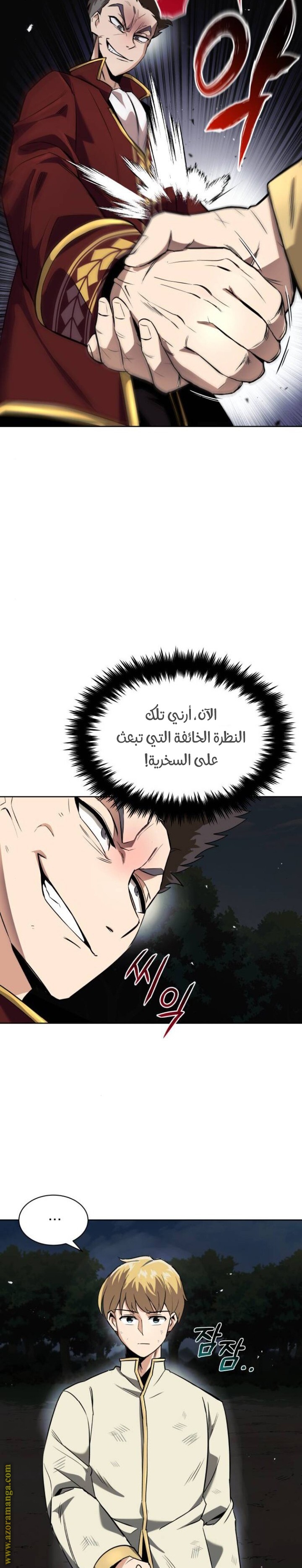الصفحة 30