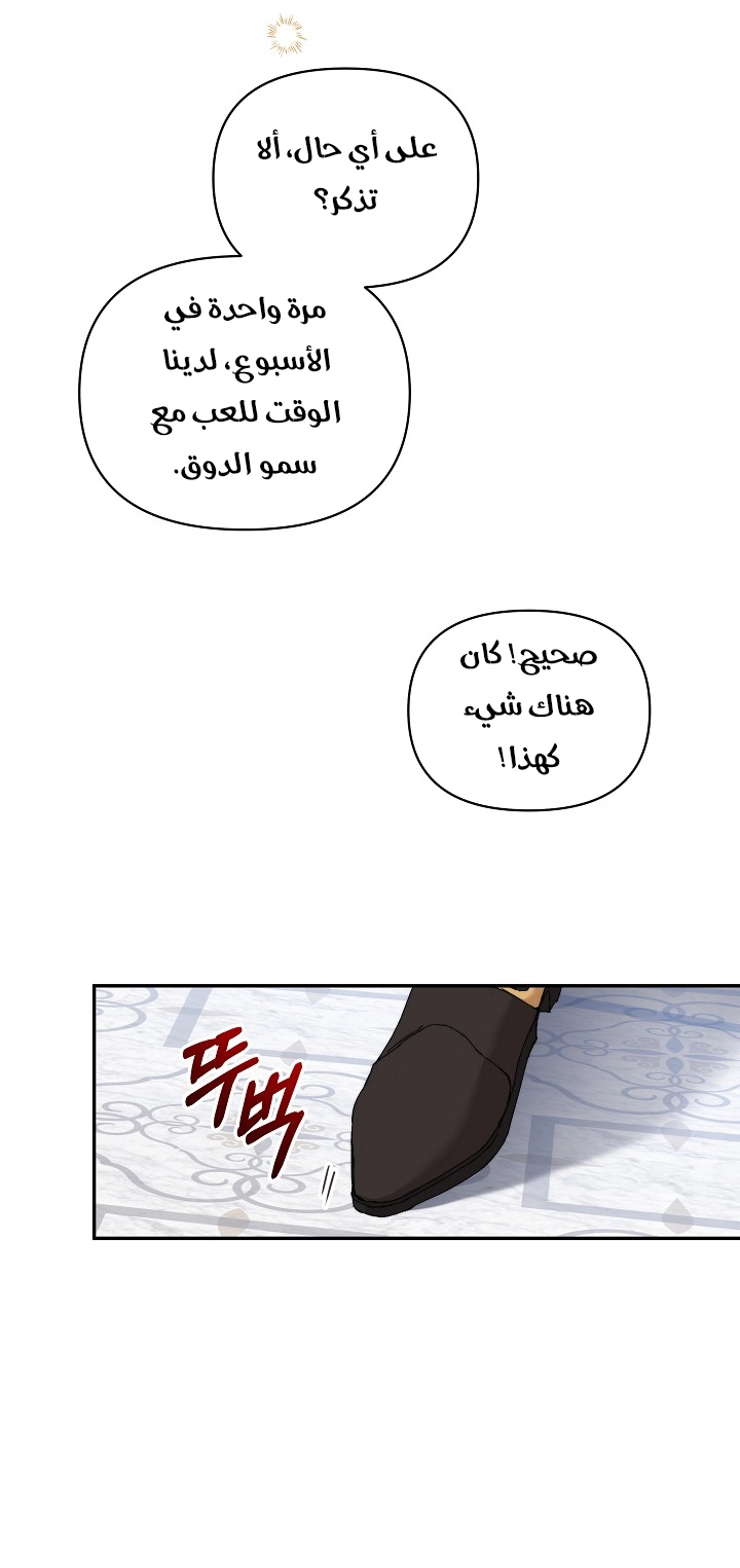 الصفحة 47