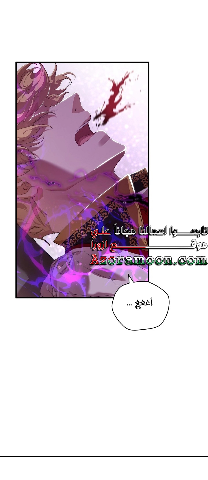 الصفحة 45