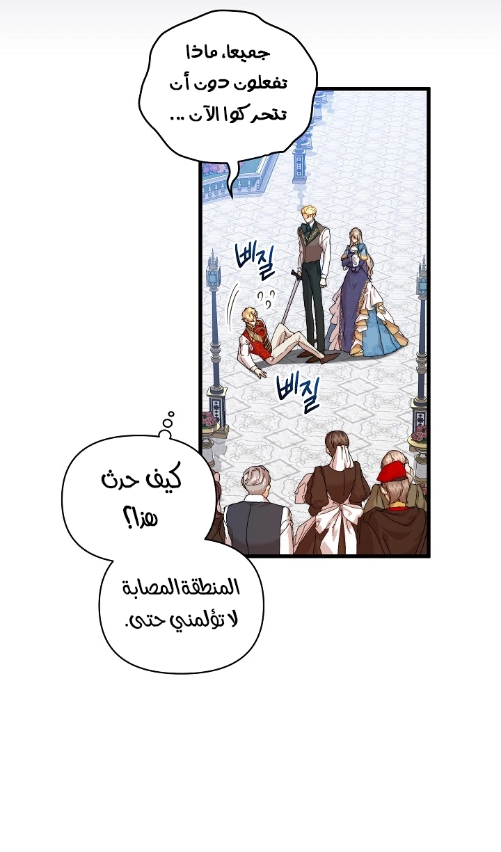 الصفحة 24