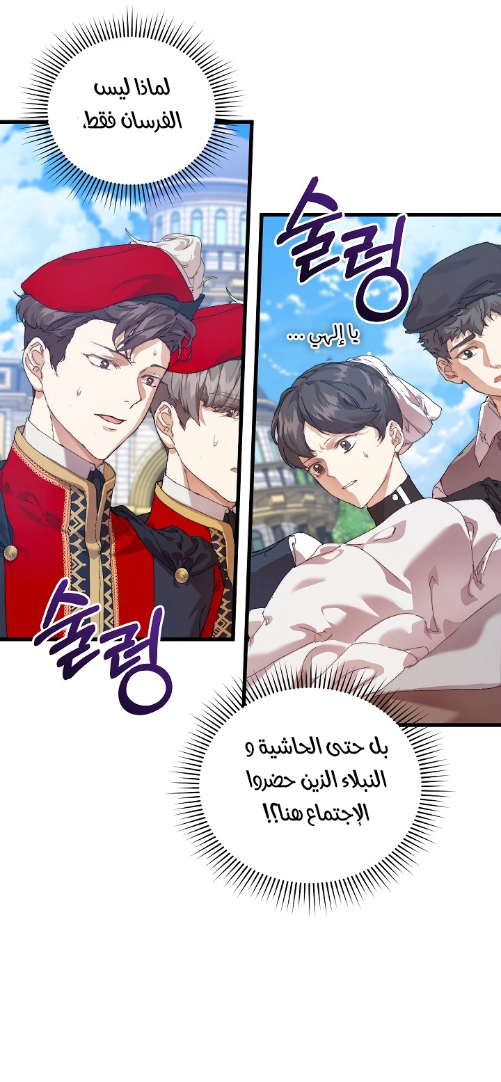 الصفحة 25