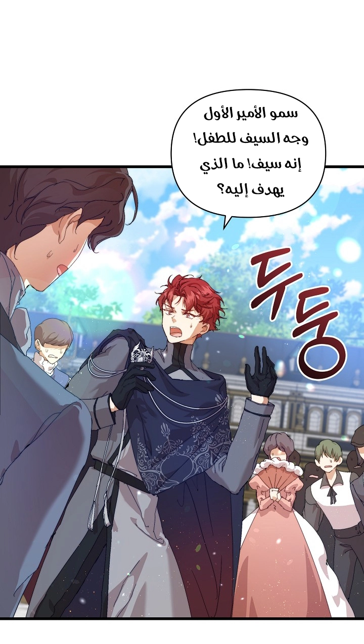 الصفحة 29