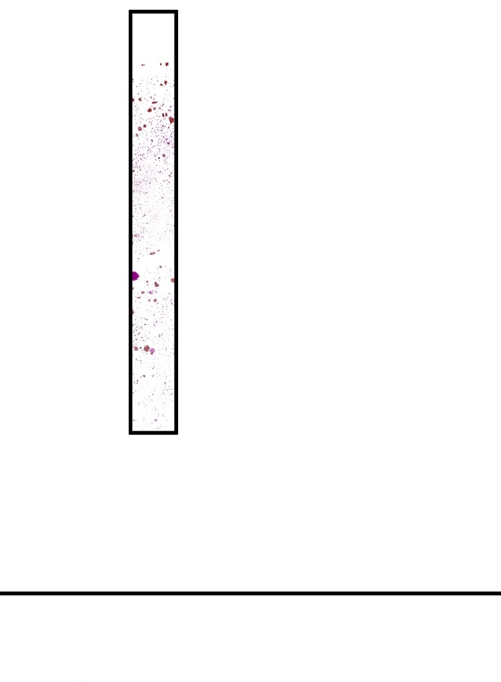 الصفحة 52
