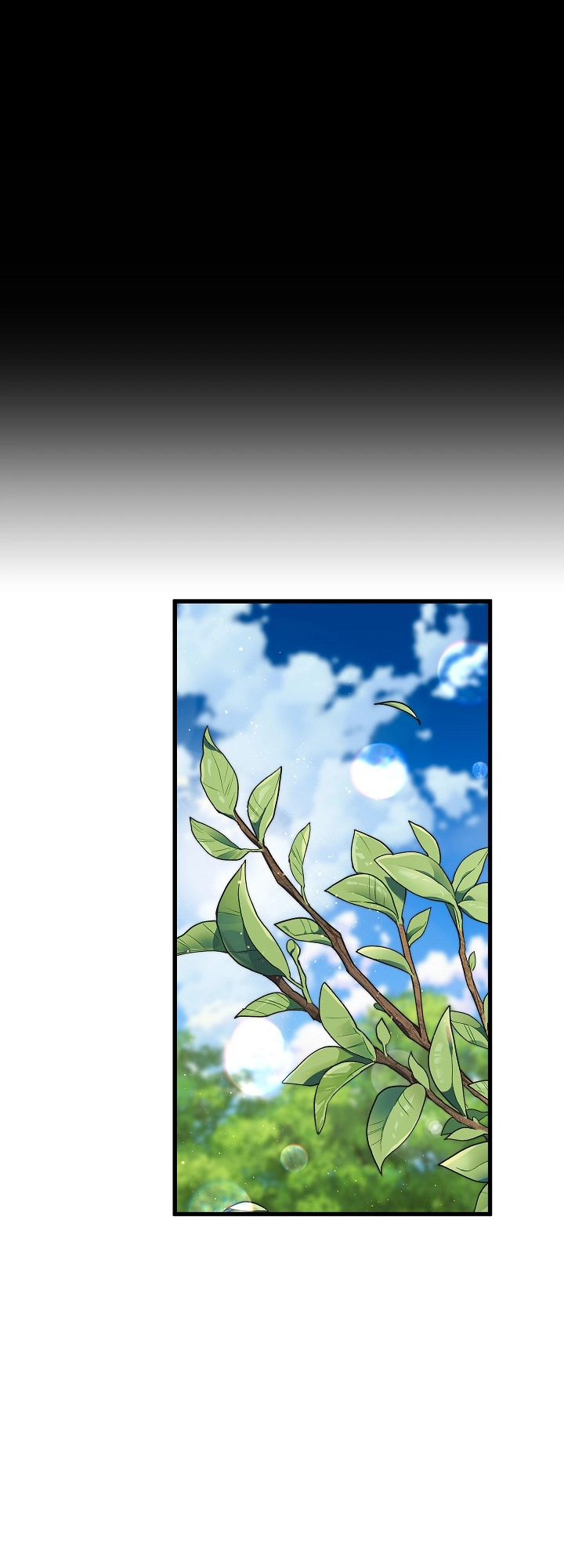 الصفحة 25