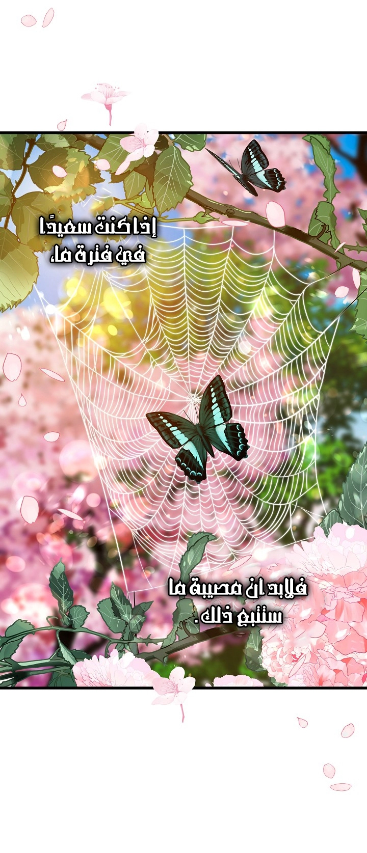 الصفحة 31