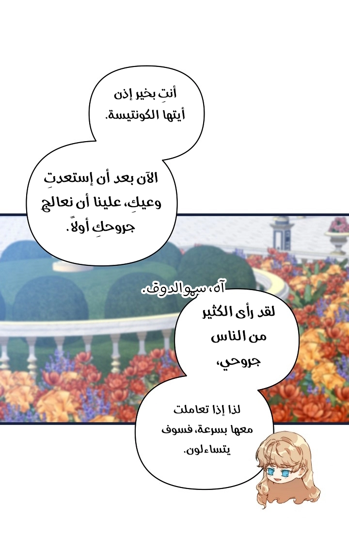 الصفحة 41