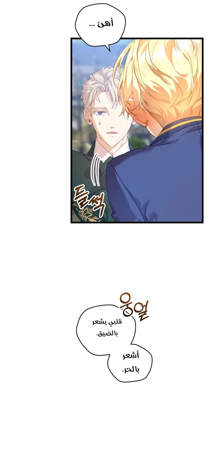 الصفحة 45