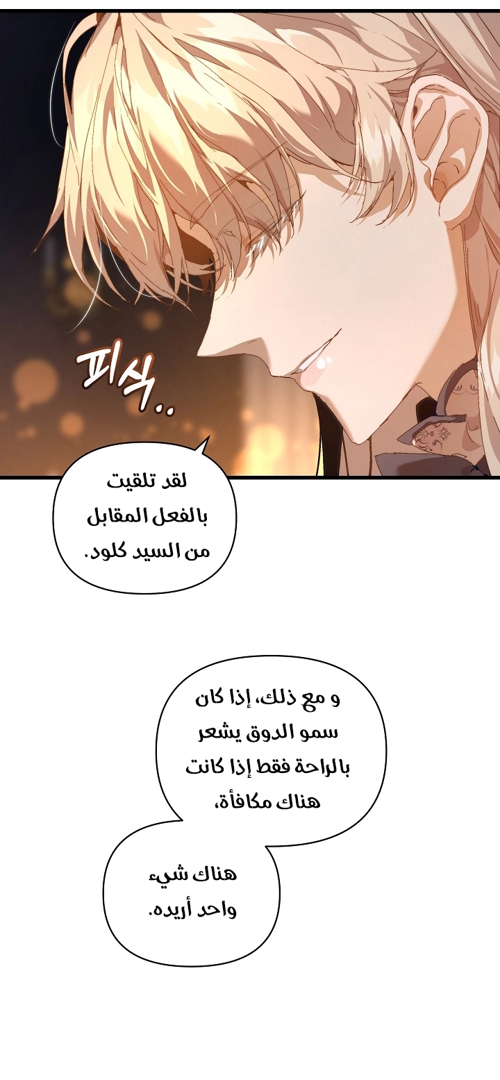 الصفحة 28