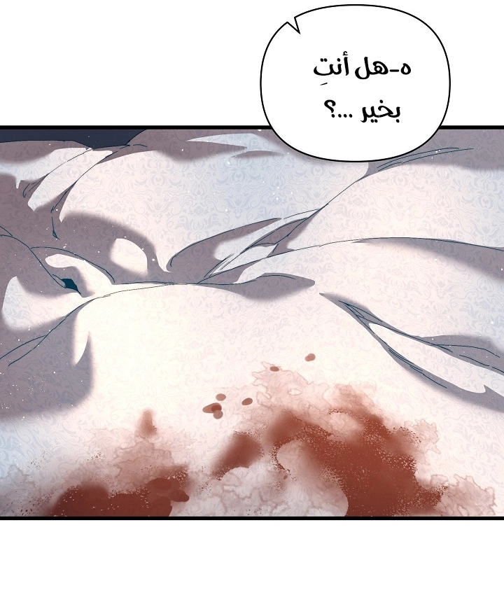 الصفحة 48